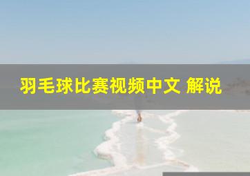 羽毛球比赛视频中文 解说